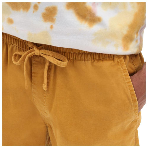 Vans Ανδρικό σορτς Range Salt Wash Relaxed